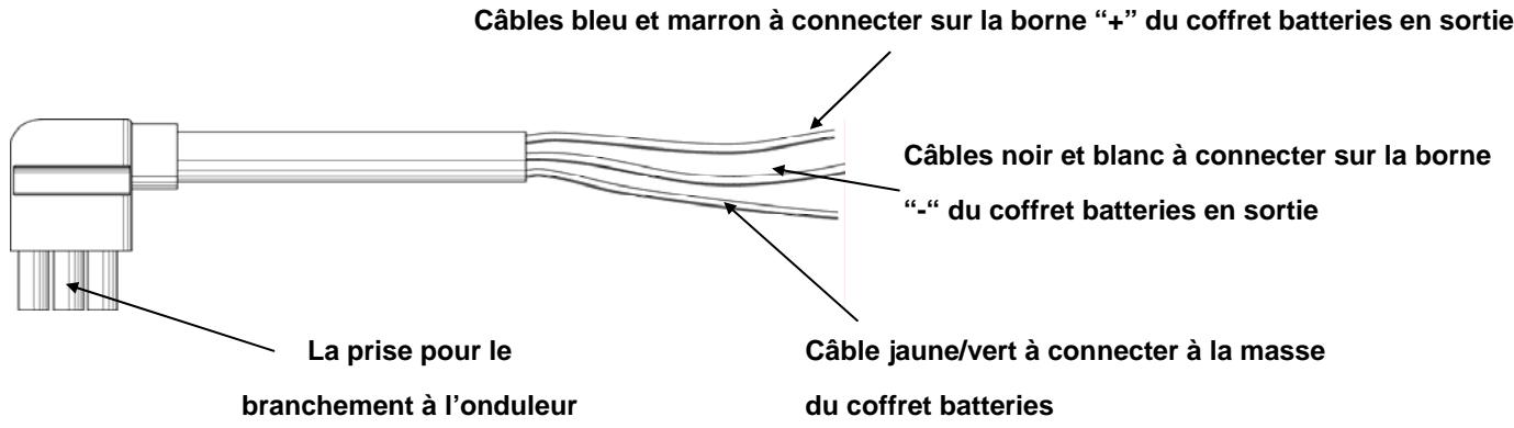 INFOSEC E4 2000 VA - Raccordement d'une batterie externe sur le modèle longue autonomie(s) - 1