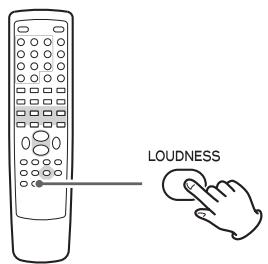 TEAC DR-H300 - Botón LOUDNESS - 1