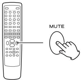 TEAC DR-H300 - Muting - 1