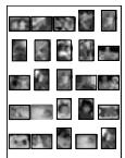 COMPAQ PHOTOSMART 1000 - Chapitre 1 - 2