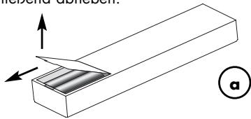 VINCENT SV-123 - Wechsel/Einlegen der Batterien: - 1