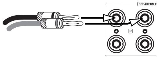 VINCENT SV-236MK - Branchement des haut-parleurs - 1