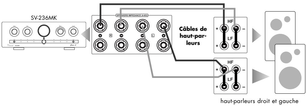 VINCENT SV-236MK - Branchement des haut-parleurs - 1