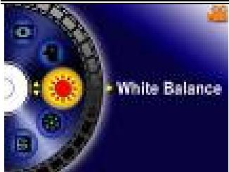 GENIUS DV610 - Option balance des blancs - 1