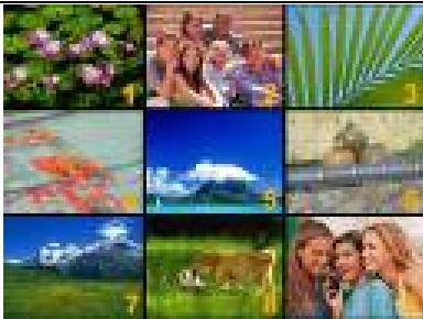 GENIUS DV610 - Fonction affichage miniature (thumbnail) - 1