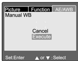 GENIUS P533 - WB manuelle - 1
