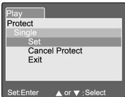 GENIUS P533 - Protection - 1