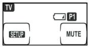 GENIUS REMOTE 600 - Indicateur de niveau des piles - 1