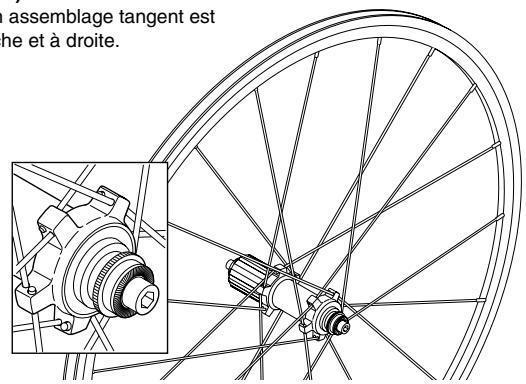 SHIMANO WH-7900-C24-TL - Pour l'arrière - 1