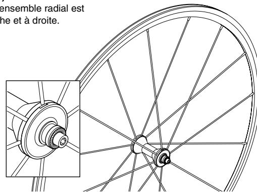 SHIMANO WH-7900-C24-TL - Pour l'avant - 1