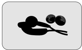 IRIVER H120 - Casques et caches en mousse - 1