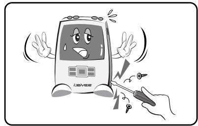 IRIVER H300 - DANGER - 5