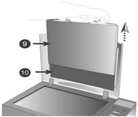 PLUSTEK OPTICBOOK 3600 PLUS - Funktionen des Scanners - 5