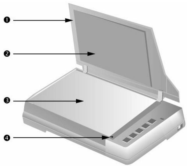 PLUSTEK OPTICBOOK A300 - XAPAKTEPNUCTUKN CKAHEPA - 1
