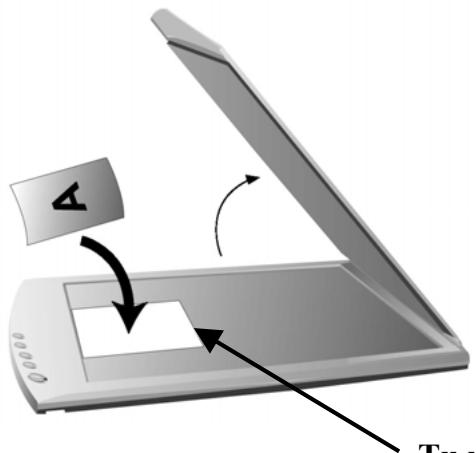 PLUSTEK OPTICSLIM 2420T - Testowanie skanera - 1