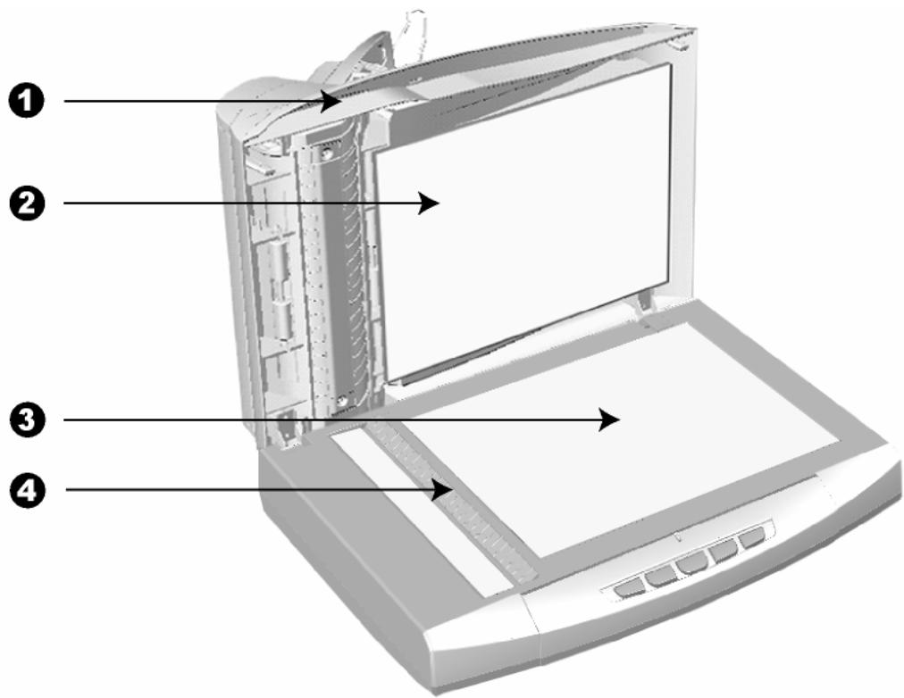 PLUSTEK SMARTOFFICE PL812 - FUNKTIONEN DES SCANNERS - 1