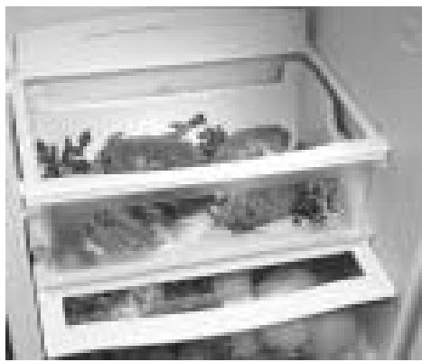 ASPES 5FAC-495 INNF - Systeme multifresh - 1