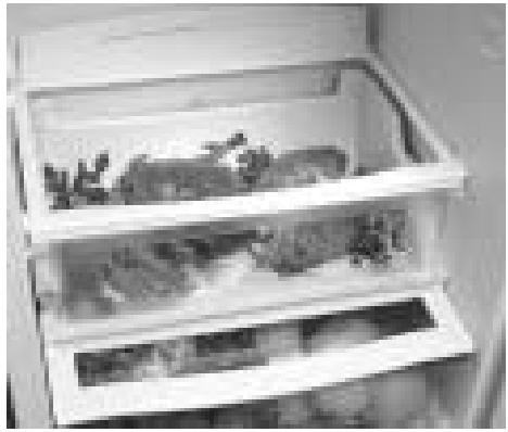 ASPES 5FAC-495 INNF - SISTEMA DUPLO FRESH - 1