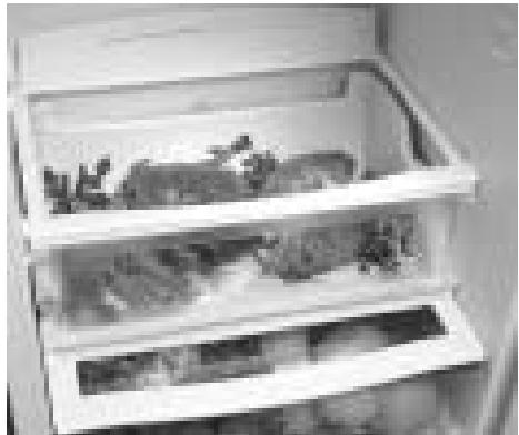 ASPES 5FAC-495 INNF - MULTIFRESH-SYSTEM - 1