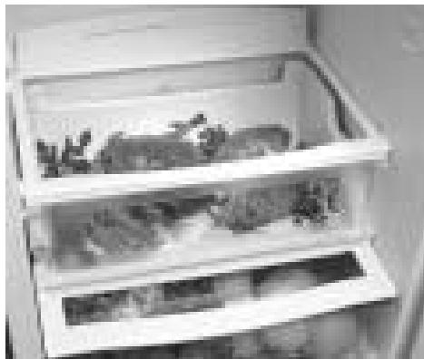 ASPES 5FAC-495 INNF - MULTIFRESH SYSTEM - 1