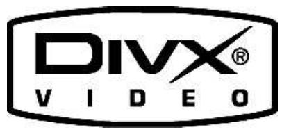 DUAL DVD-D1019 - Notice d'utilisation - 1