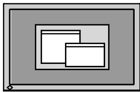 EIZO COLOREDGE CG242W - Note - 5