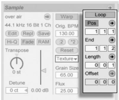 ABLETON LIVE 4 - Boucle/région d'échantillon - 1