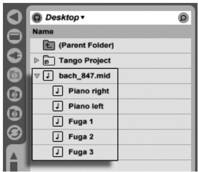 ABLETON LIVE 7 - Fichiers MIDI - 1