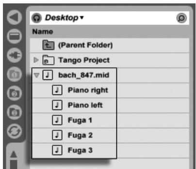ABLETON LIVE 6 LE - Fichiers MIDI - 1
