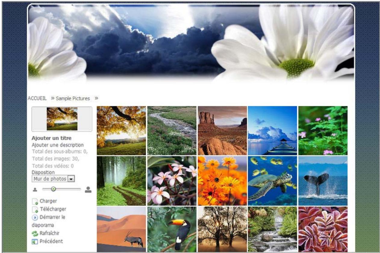 SYNOLOGY DS411J - Partager des photos, VIDEOS et blogs avec Photo Station - 1