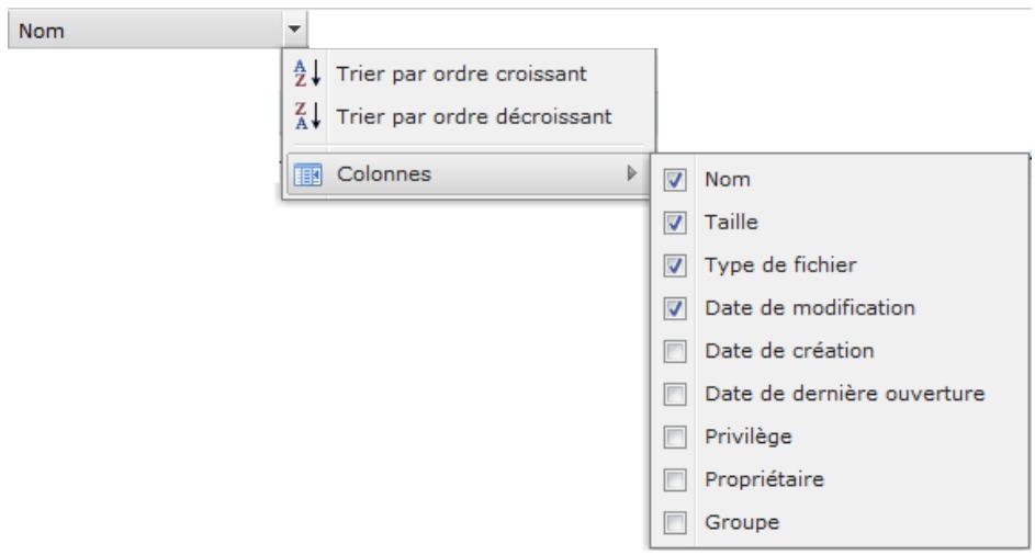 SYNOLOGY DS411J - Afficher les attributs supplémentaires - 1