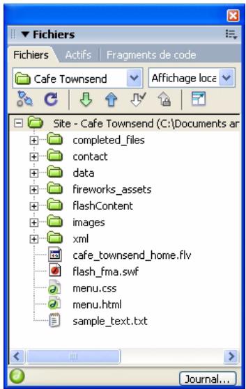 MACROMEDIA DREAMWEAVER 8-BIEN DMARRER AVEC DREAMWEAVER - Panneau Fichiers - 1