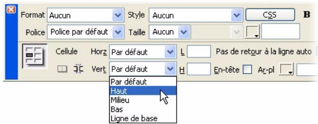 MACROMEDIA DREAMWEAVER 8-BIEN DMARRER AVEC DREAMWEAVER - Insertion du corps de texte - 3