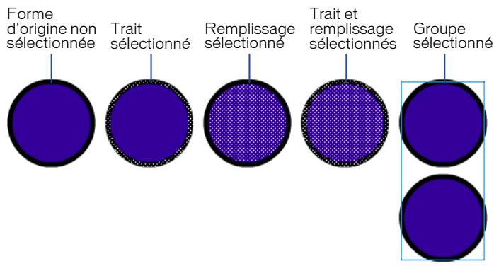 MACROMEDIA FLASH 5 - Sélection d'objets - 1