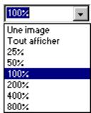 MACROMEDIA FLASH 5 - Affichage de la scène - 4