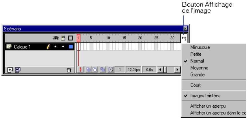 MACROMEDIA FLASH 5 - Pour modifier l'affichage des images dans le scénario : - 1