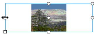 MACROMEDIA FLASH 5 - Pour ajuster un replissage dégradé ou de bitmap avec l'outil pot de peinture : - 3