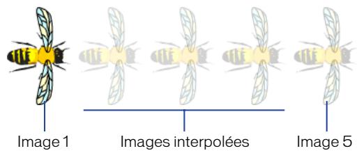 MACROMEDIA FLASH 5 - Interpolations d'occurrences, de groupes et de caractères - 1