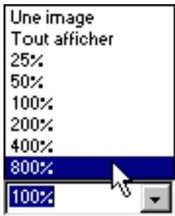 MACROMEDIA FLASH 5 - Ajoutez l'image-clé de la fin de l'effet animé - 3