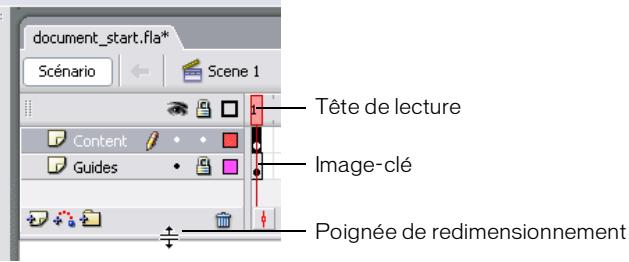 MACROMEDIA FLASH 8-DIDACTICIELS FLASH - Afficher le scenario - 1