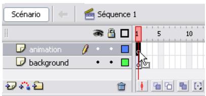 MACROMEDIA FLASH 8-DIDACTICIELS FLASH - Importation d'éléments dans un calque - 1