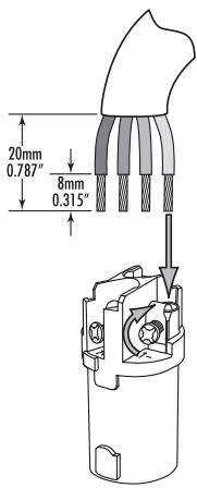 ROTEL RB-1092 - Verdrahten der Speakon-Anschlüsse - 2