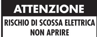 ROTEL RB-1092 - Importanti informazioni di Sicurezza - 4