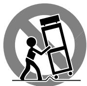 ROTEL RCD-1070 - WARNING! - 1