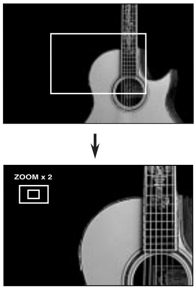ROTEL RDV-1080 - ZOOM Button X - 1