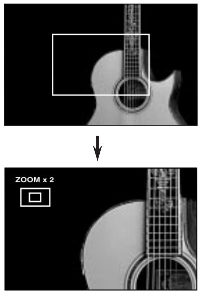 ROTEL RDV-1080 - Fonction ZOOM touche ZOOM - 1