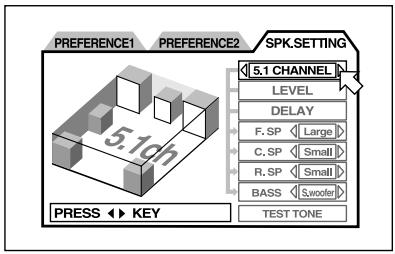 ROTEL RDV-1080 - How to Set Preferences - 3