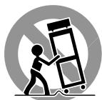 ROTEL RT-1082 - Important Safety Information - 1