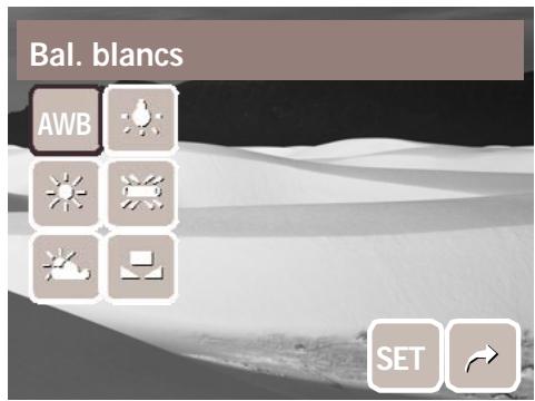 AGFAPHOTO OPTIMA 1338MT - Balance des blancs - 1