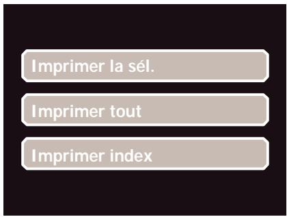 AGFAPHOTO OPTIMA 1338MT - Brancher l'appareil photo sur une imprimante - 3